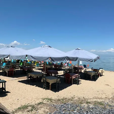 30m From The Sea